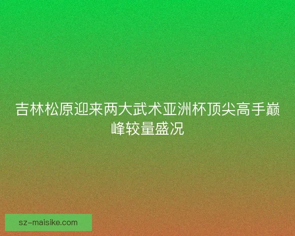 吉林松原迎来两大武术亚洲杯顶尖高手巅峰较量盛况